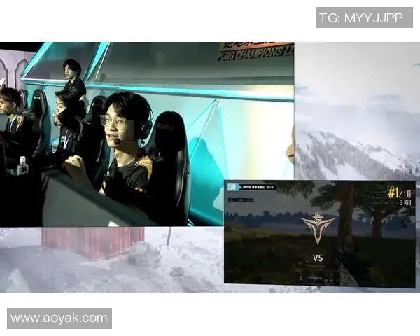 深入解析V5战队战术表现背后的数据分析与策略演变