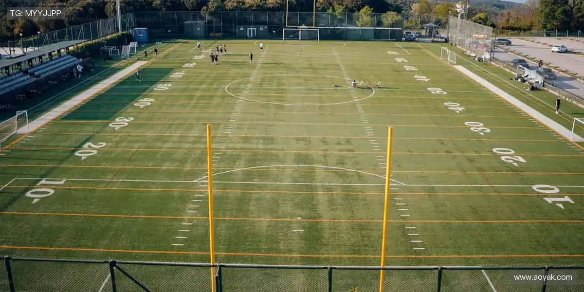 高清直播直击现场，让欢呼穿透屏幕！📺